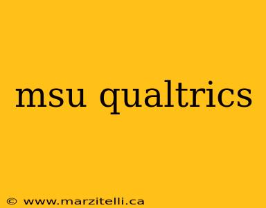 msu qualtrics