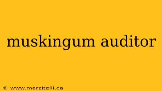 muskingum auditor