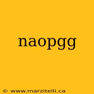 naopgg
