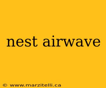 nest airwave
