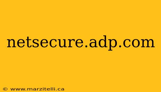 netsecure.adp.com
