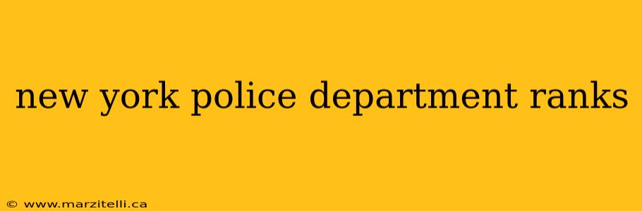 new york police department ranks