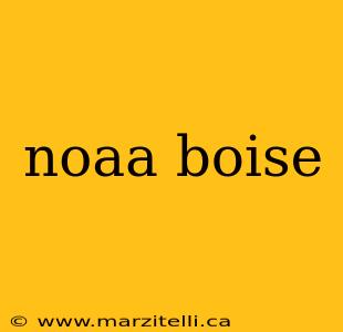 noaa boise