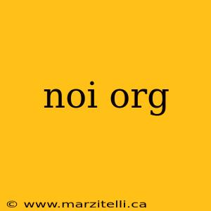 noi org