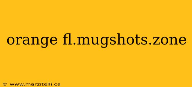 orange fl.mugshots.zone