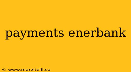 payments enerbank