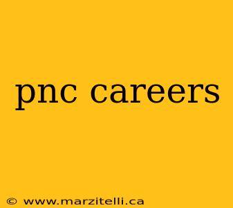 pnc careers