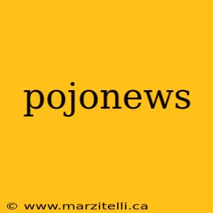 pojonews