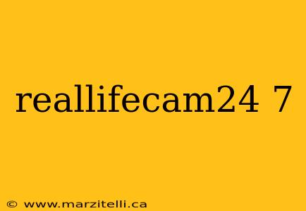 reallifecam24 7