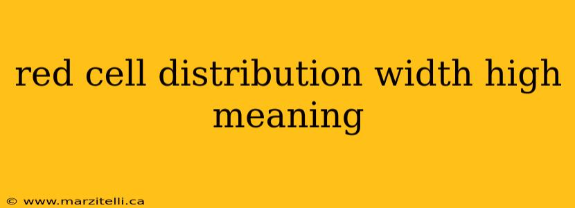 red cell distribution width high meaning