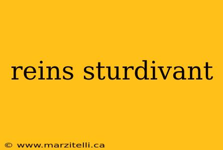 reins sturdivant