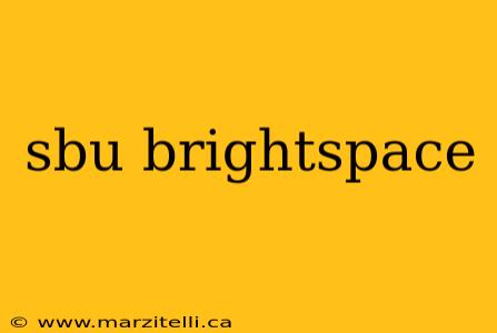 sbu brightspace