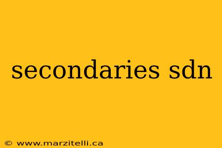 secondaries sdn