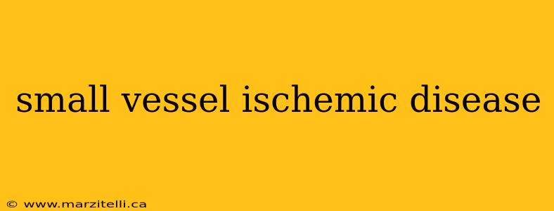 small vessel ischemic disease