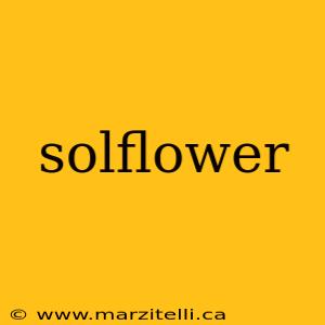 solflower