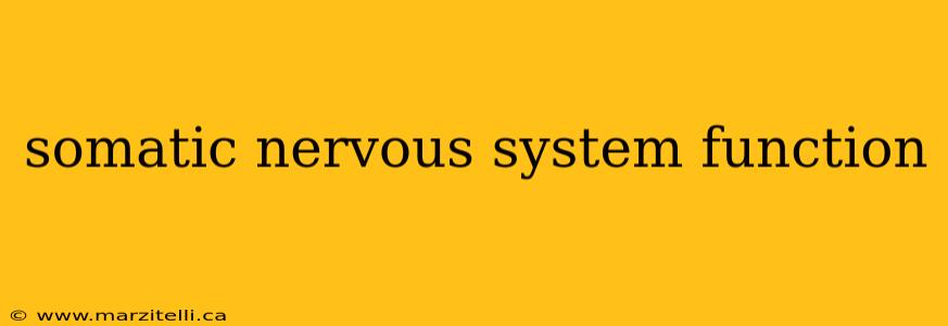 somatic nervous system function