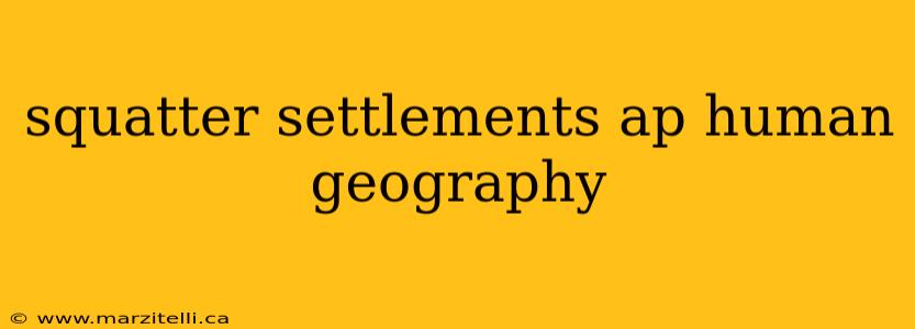 squatter settlements ap human geography