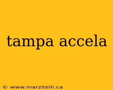 tampa accela