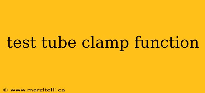 test tube clamp function
