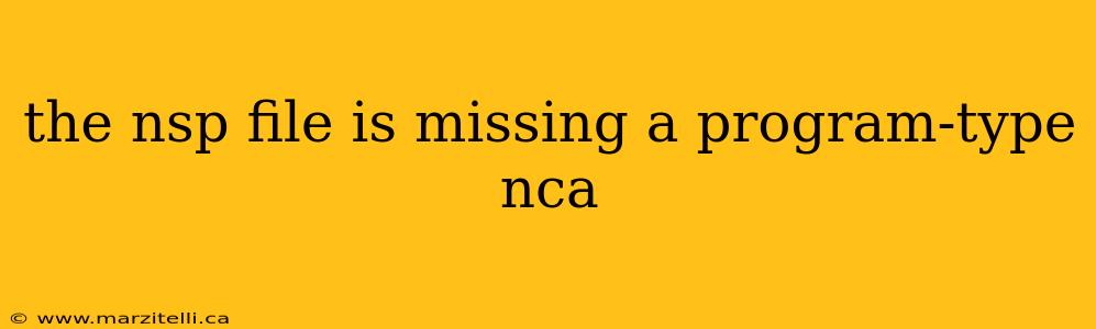 the nsp file is missing a program-type nca