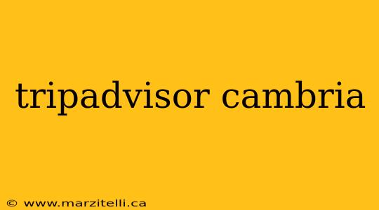 tripadvisor cambria