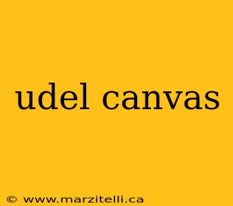 udel canvas