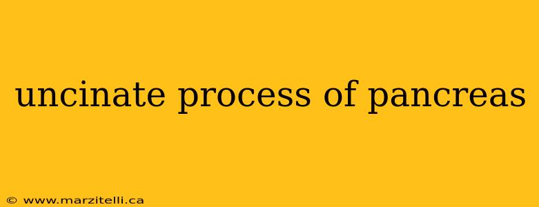 uncinate process of pancreas