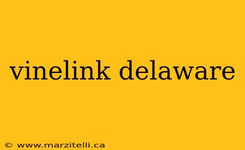 vinelink delaware