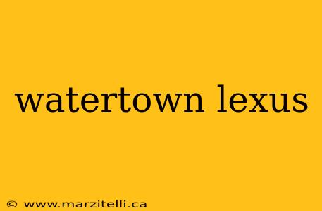 watertown lexus