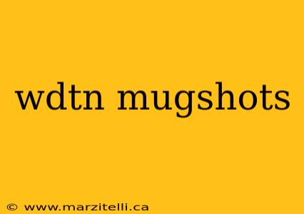 wdtn mugshots
