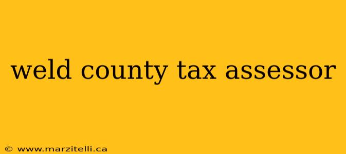 weld county tax assessor