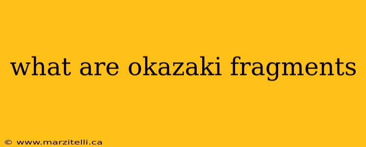 what are okazaki fragments