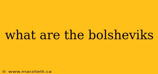 what are the bolsheviks