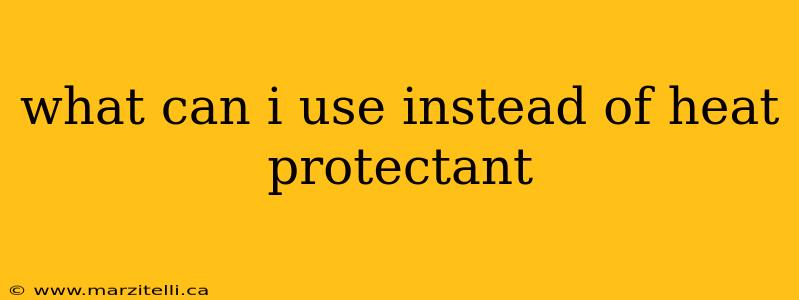 what can i use instead of heat protectant