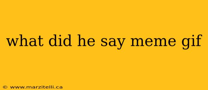 what did he say meme gif