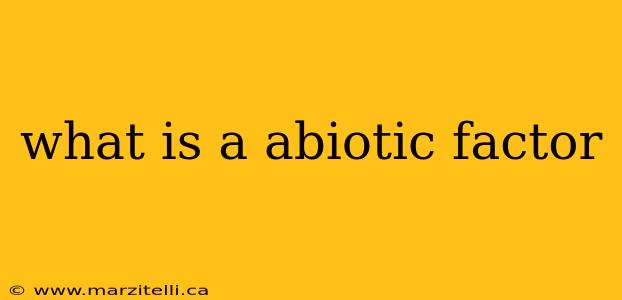 what is a abiotic factor