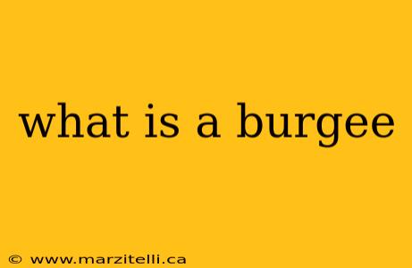 what is a burgee