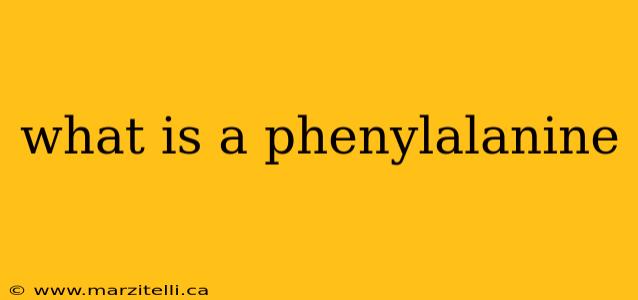 what is a phenylalanine