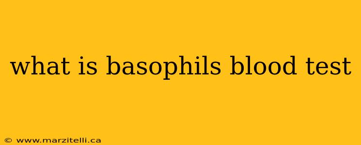 what is basophils blood test