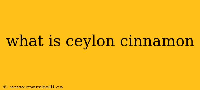 what is ceylon cinnamon