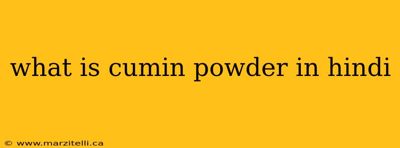 what is cumin powder in hindi