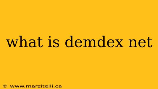 what is demdex net