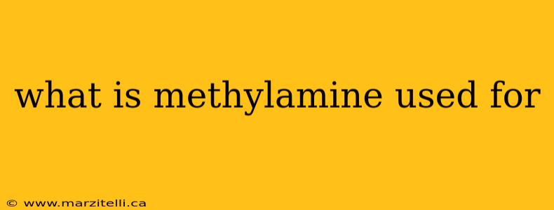 what is methylamine used for