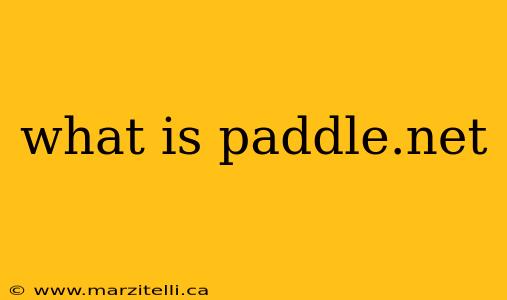 what is paddle.net