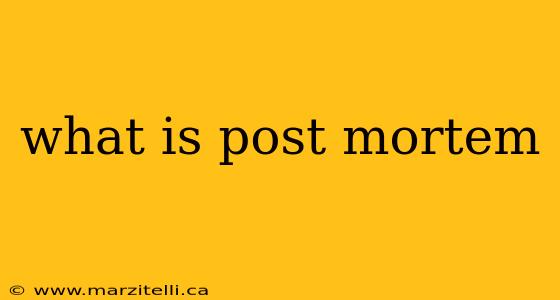 what is post mortem