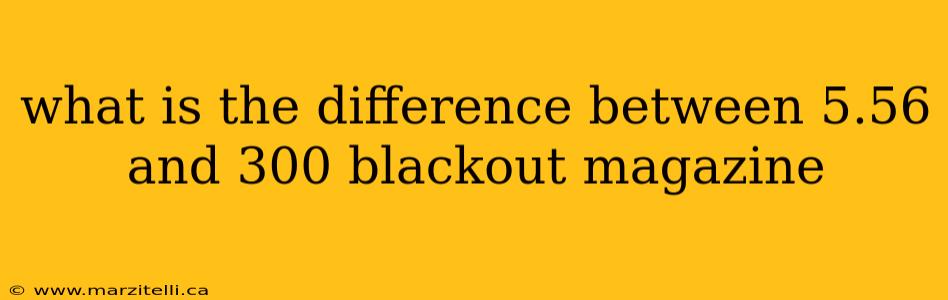what is the difference between 5.56 and 300 blackout magazine