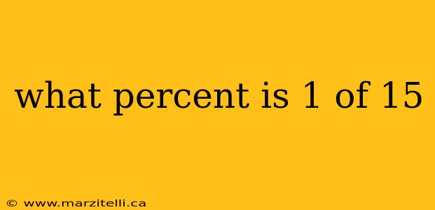 what percent is 1 of 15