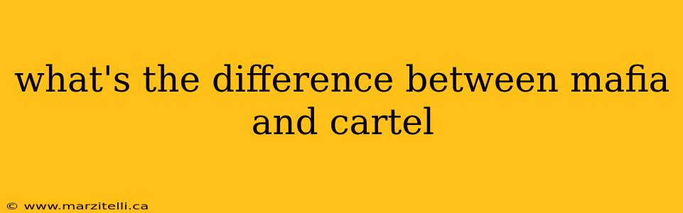 what's the difference between mafia and cartel