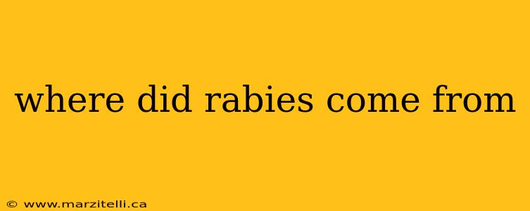 where did rabies come from
