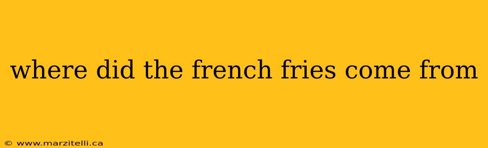 where did the french fries come from
